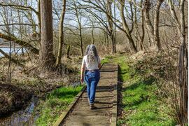 Adult woman walking on straight wooden walkway through marshy terrain between pools in Tosch-Langeren nature reserve, rear view, surrounded by bare trees, on a winter day in Maaseik, Belgium